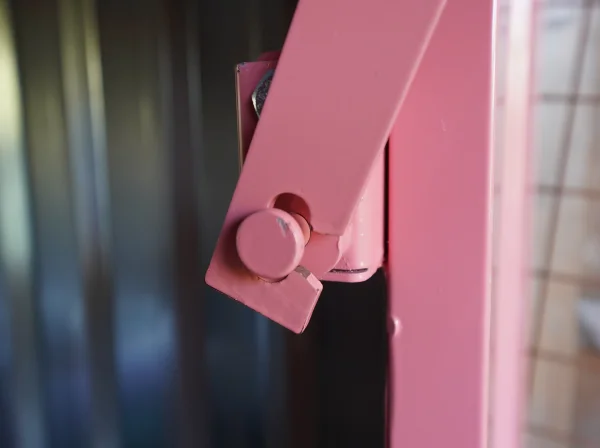 Conteneur Bar Démontable XL 3×2 m Rose RAL 3015 - image 4